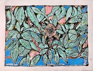 black face indian monkey R