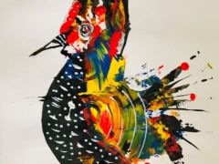 coq-R