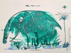 elephant bobo R