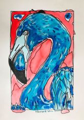 flamand-bleu-R