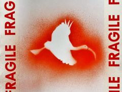 ibis-R