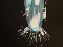 la-meduse-bleue-et-son-pote-R