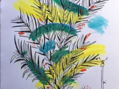 palme tunisienne R
