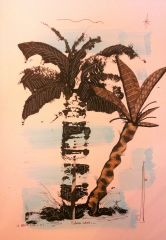 palmes-noires-r
