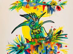 un-bout-d-oiseau-R