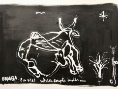 white couple bulls R