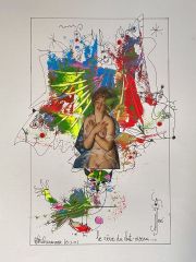 le-reve-du-chat-oiseau-R