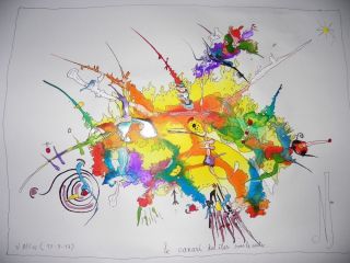 81-le-canari-des-iles-sous-le-ventre