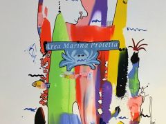 area martima protetta R