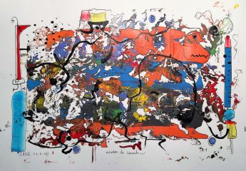 mousson de canards R